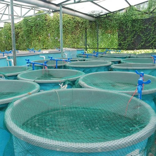 aquaculture_7B47FD8474C2E